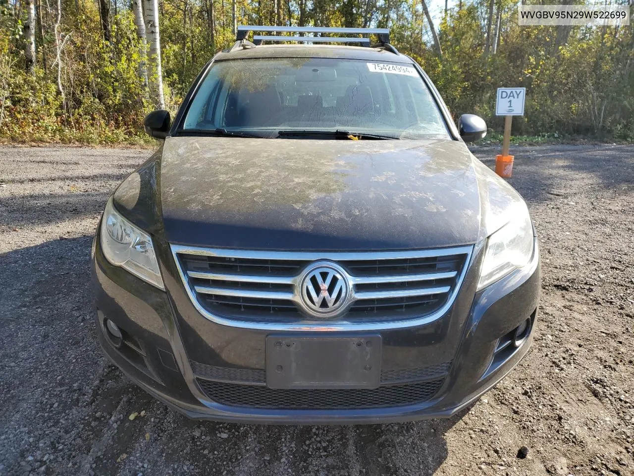 2009 Volkswagen Tiguan Se VIN: WVGBV95N29W522699 Lot: 75424994