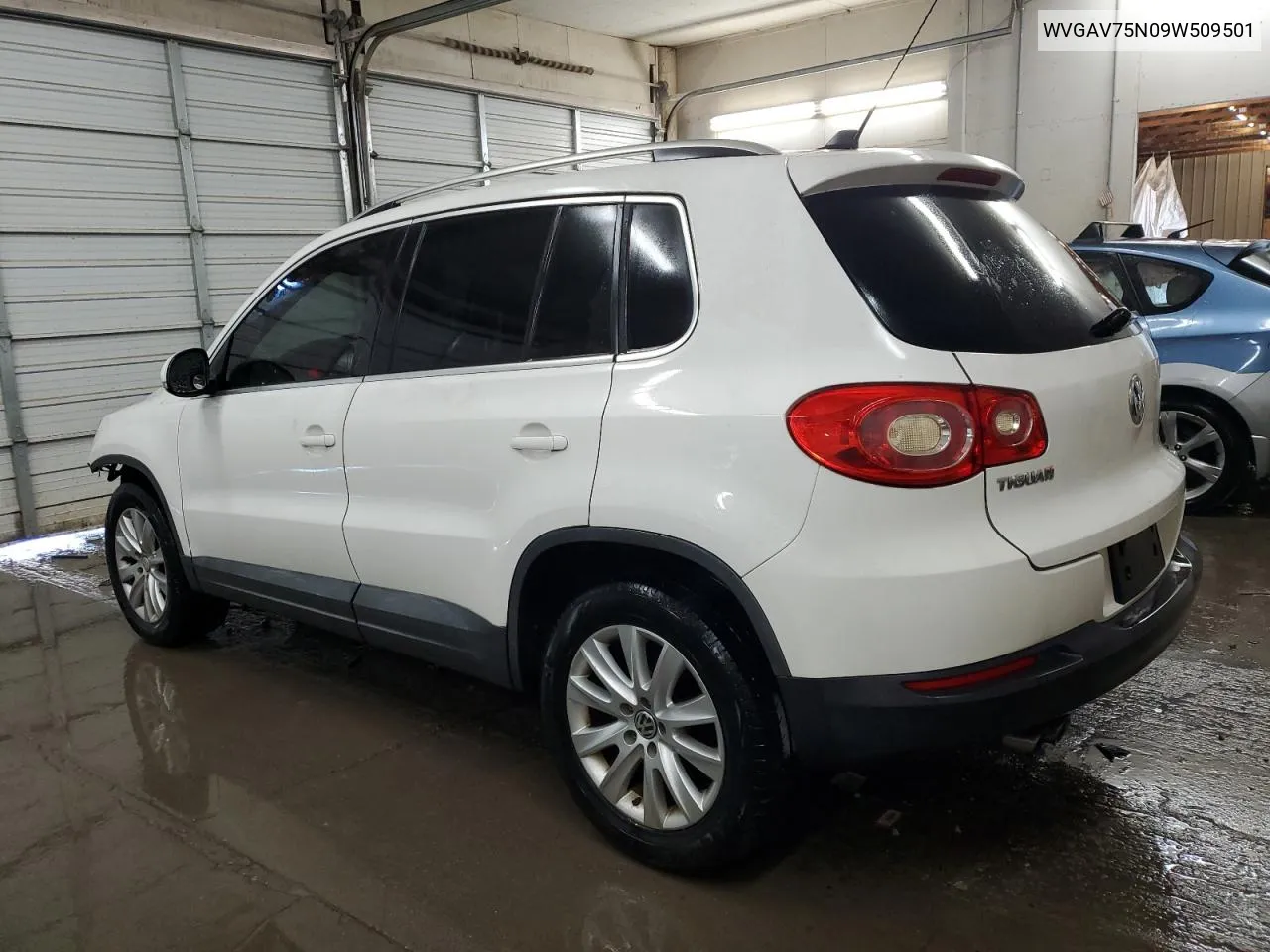 2009 Volkswagen Tiguan S VIN: WVGAV75N09W509501 Lot: 80074224