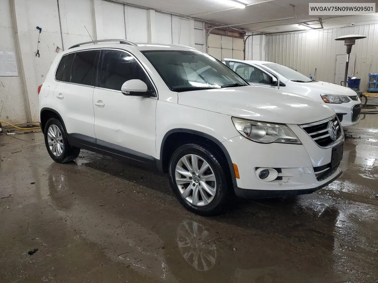 2009 Volkswagen Tiguan S VIN: WVGAV75N09W509501 Lot: 80074224