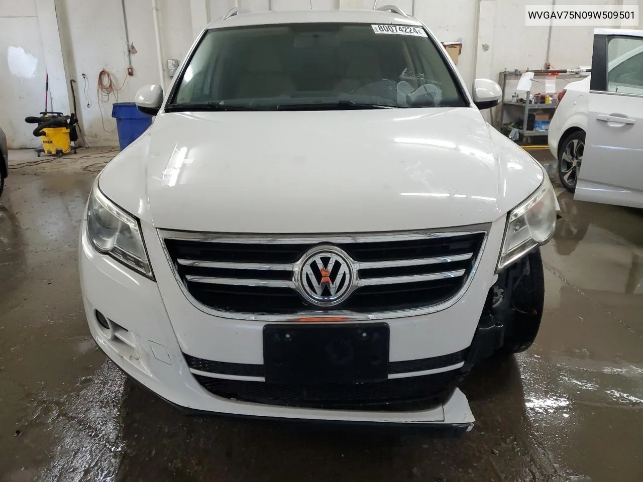 2009 Volkswagen Tiguan S VIN: WVGAV75N09W509501 Lot: 80074224