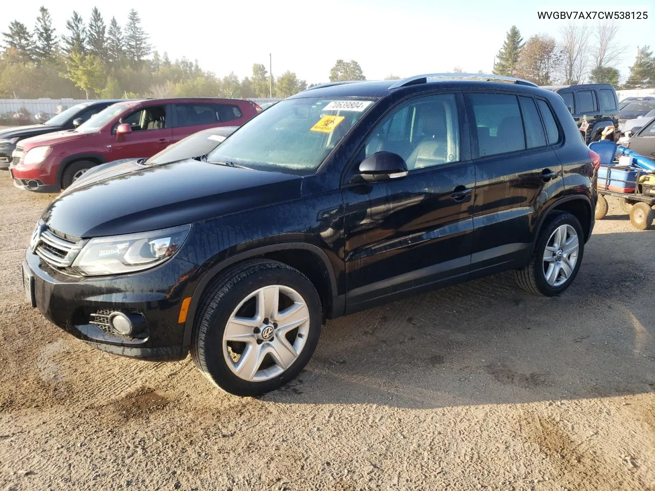 2012 Volkswagen Tiguan S VIN: WVGBV7AX7CW538125 Lot: 70639804