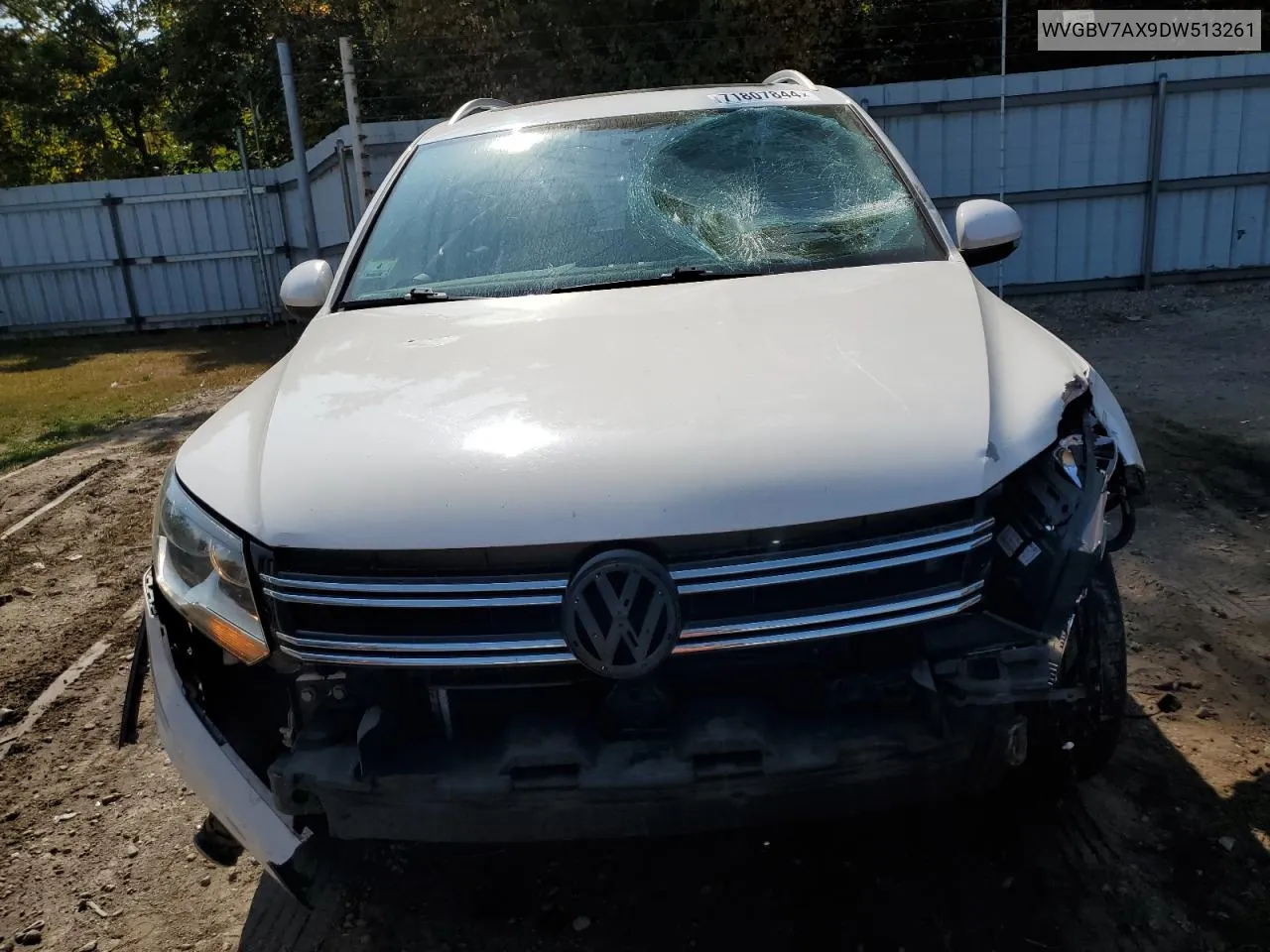 2013 Volkswagen Tiguan S VIN: WVGBV7AX9DW513261 Lot: 71807844