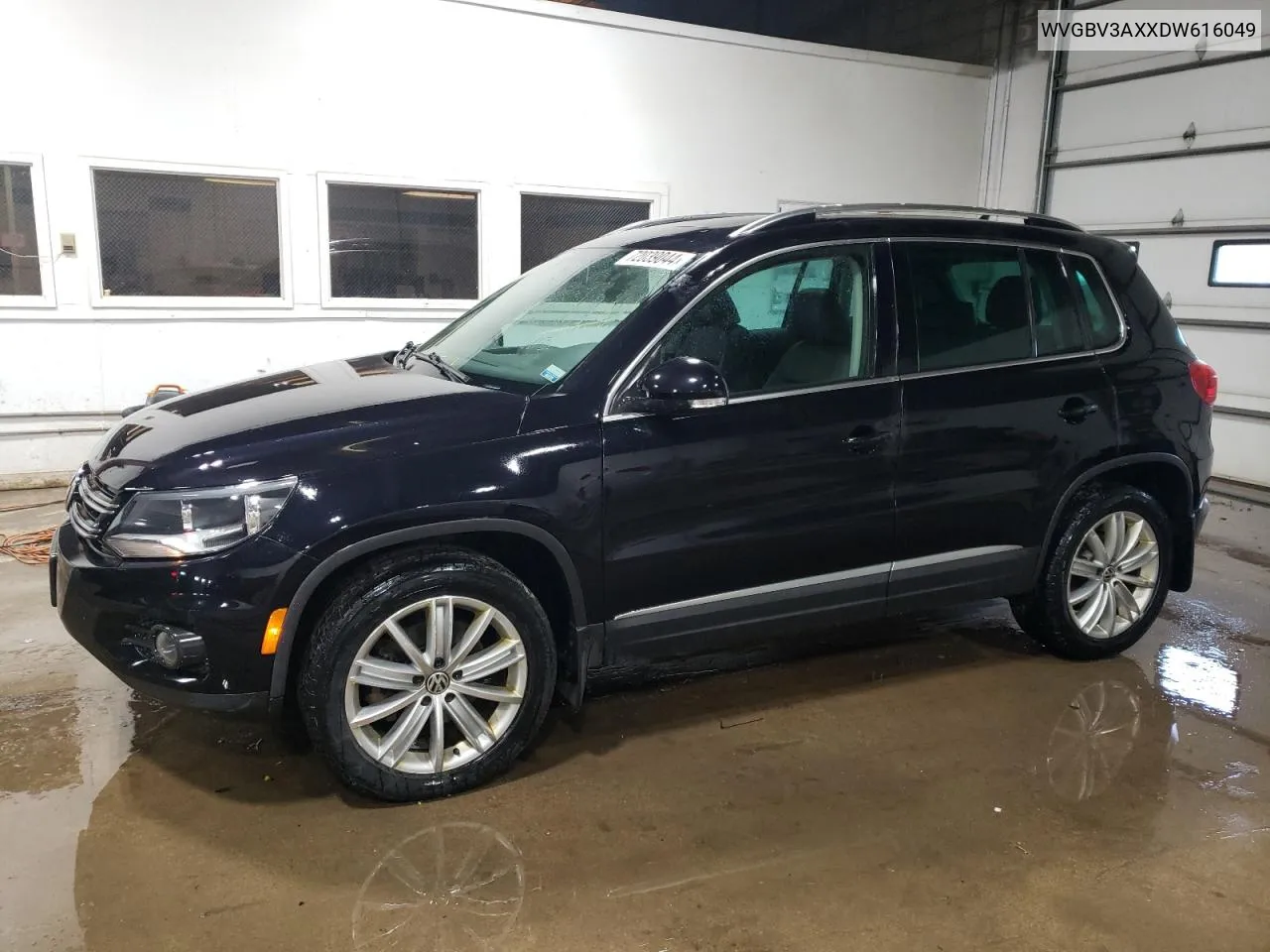 WVGBV3AXXDW616049 2013 Volkswagen Tiguan S