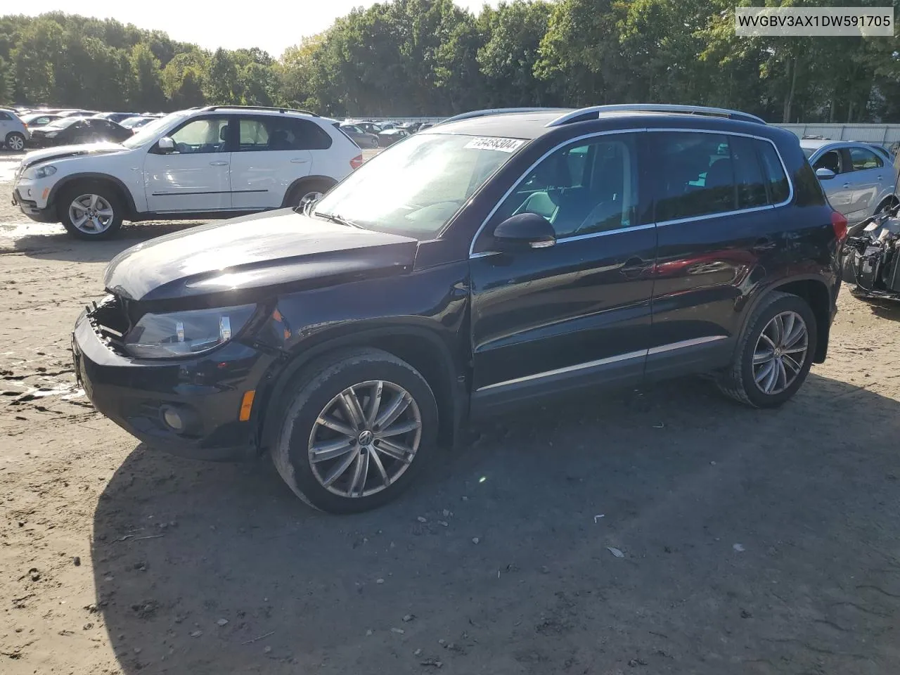 2013 Volkswagen Tiguan S VIN: WVGBV3AX1DW591705 Lot: 73468304