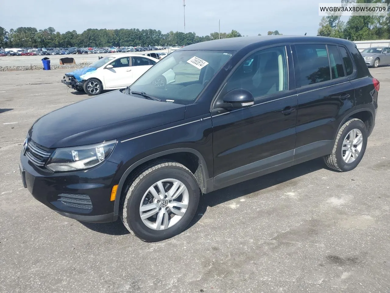 2013 Volkswagen Tiguan S VIN: WVGBV3AX8DW560709 Lot: 73583814