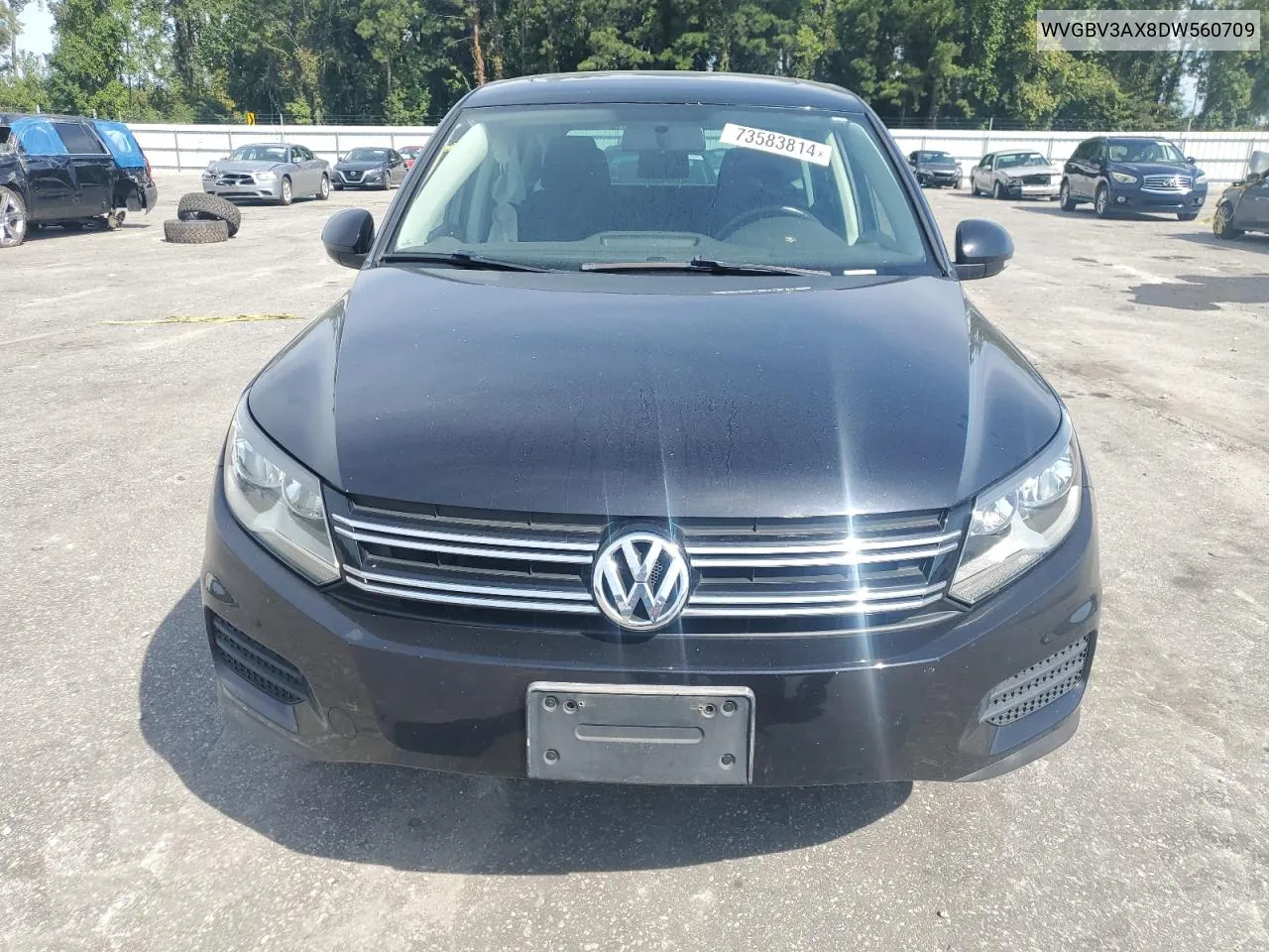 2013 Volkswagen Tiguan S VIN: WVGBV3AX8DW560709 Lot: 73583814