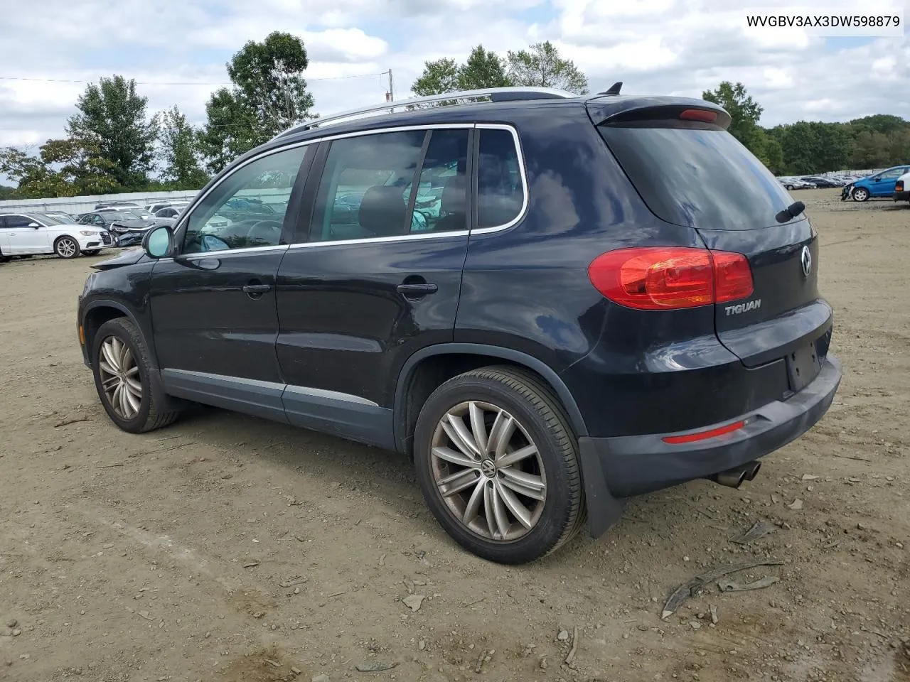 2013 Volkswagen Tiguan S VIN: WVGBV3AX3DW598879 Lot: 74268844