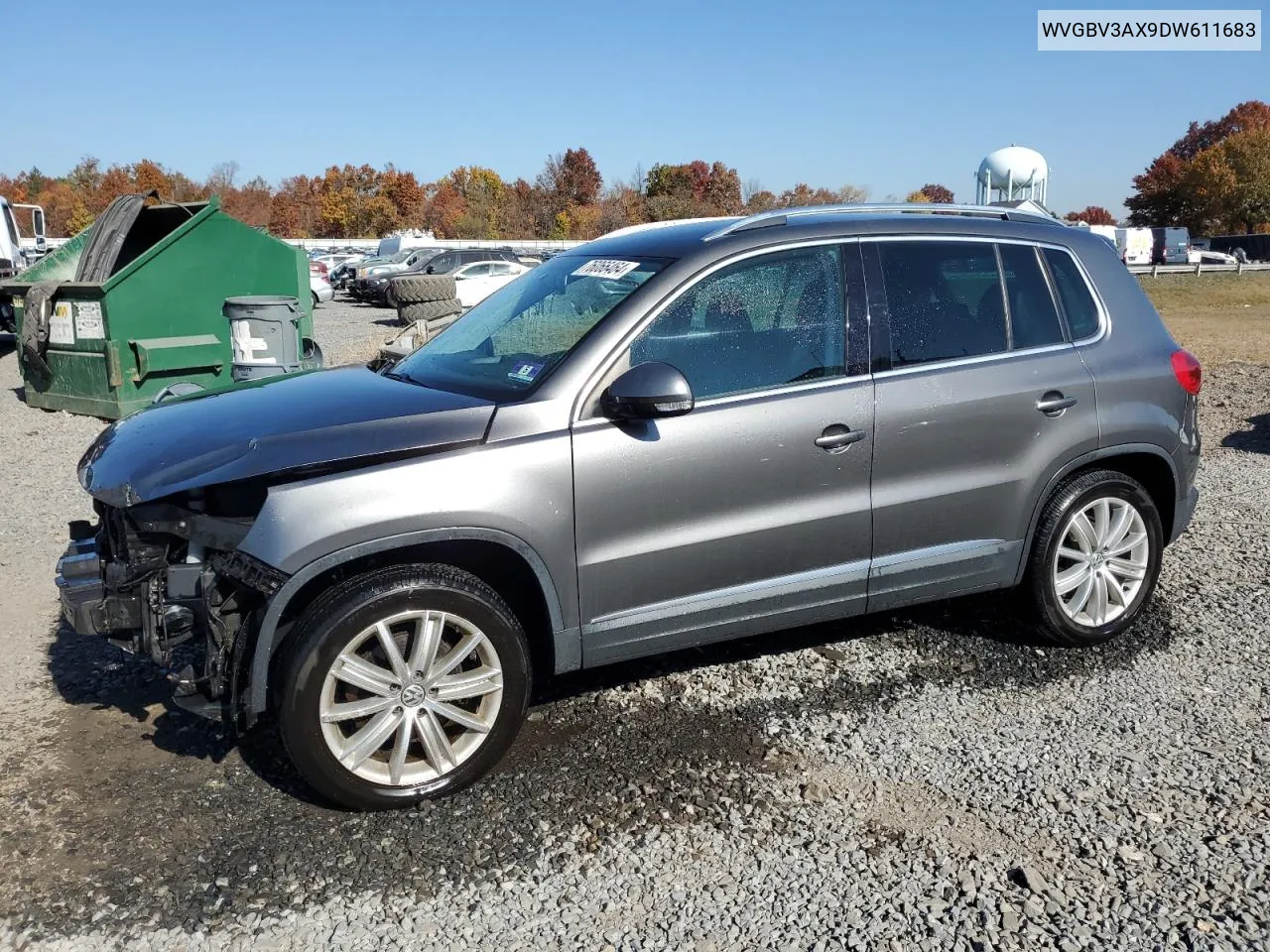 2013 Volkswagen Tiguan S VIN: WVGBV3AX9DW611683 Lot: 76066464