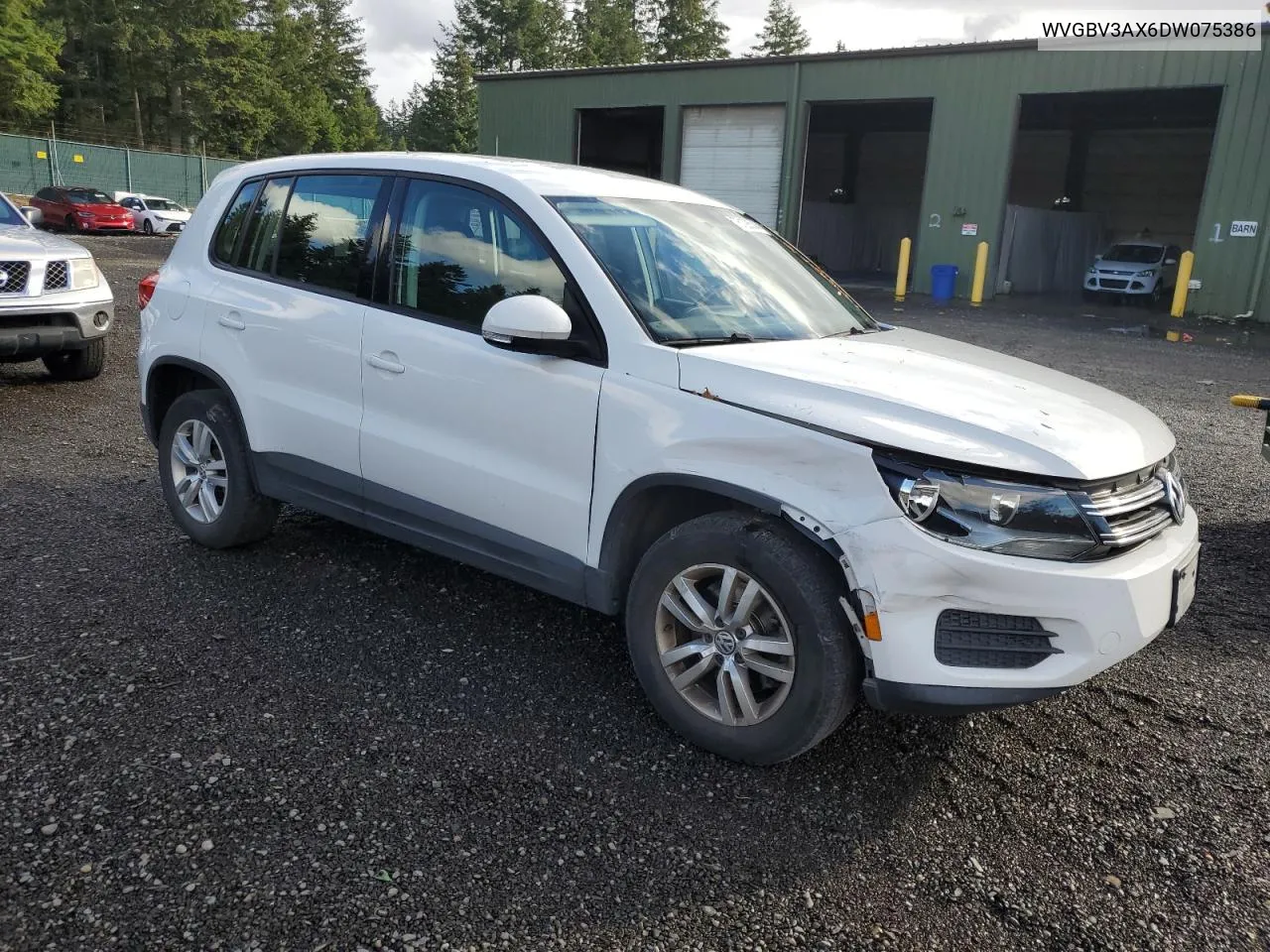 2013 Volkswagen Tiguan S VIN: WVGBV3AX6DW075386 Lot: 76128524