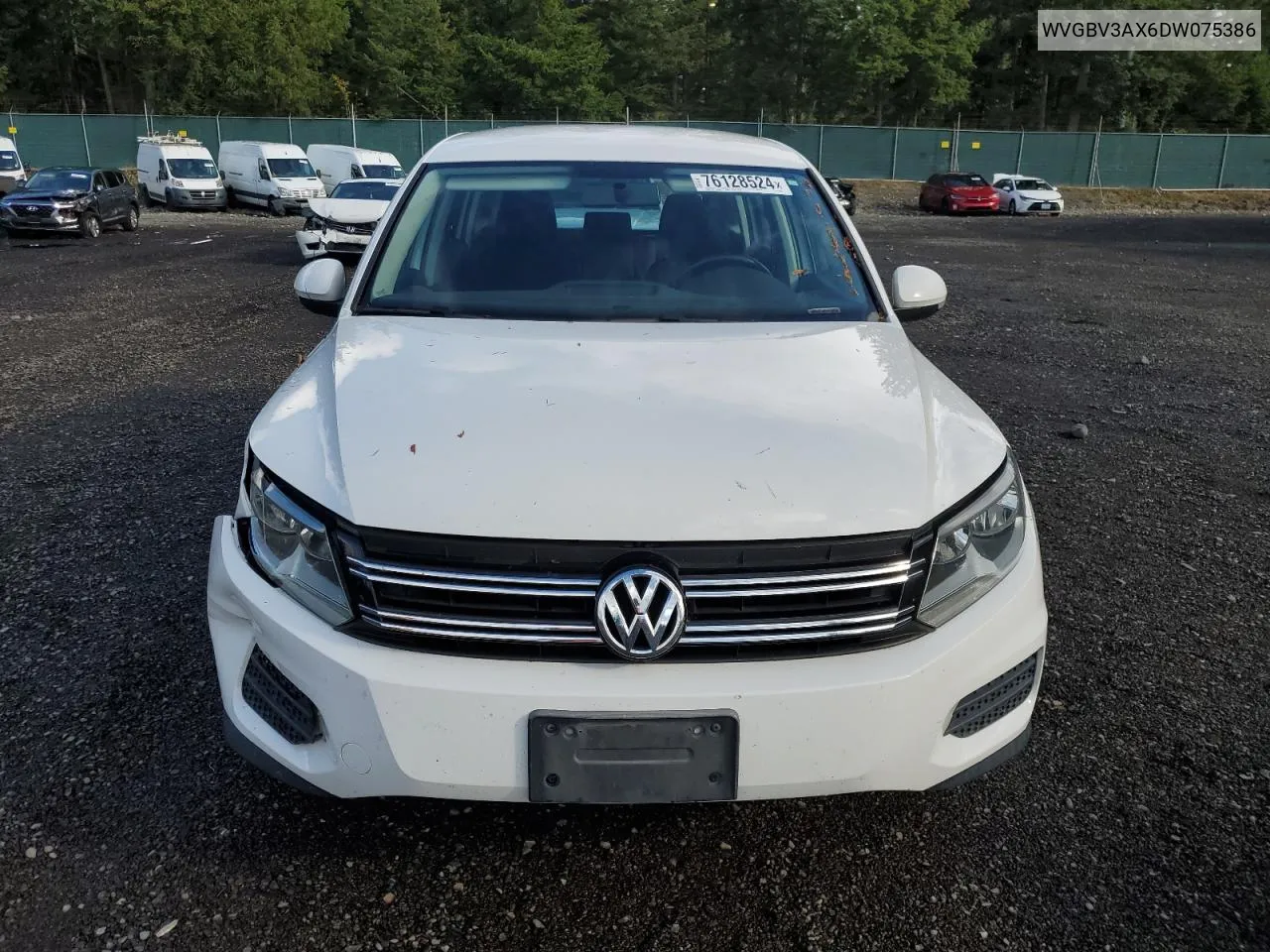 2013 Volkswagen Tiguan S VIN: WVGBV3AX6DW075386 Lot: 76128524