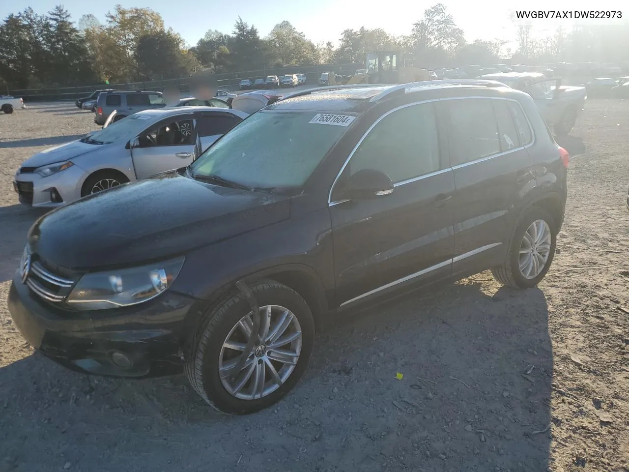 2013 Volkswagen Tiguan S VIN: WVGBV7AX1DW522973 Lot: 76581604