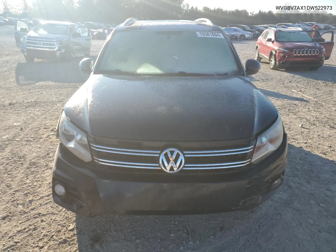 2013 Volkswagen Tiguan S VIN: WVGBV7AX1DW522973 Lot: 76581604