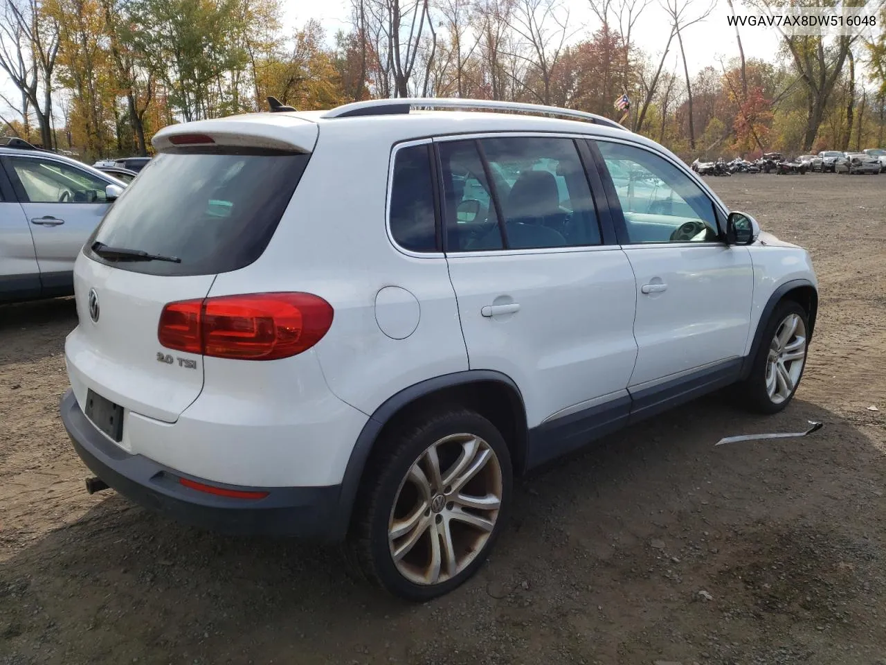 2013 Volkswagen Tiguan S VIN: WVGAV7AX8DW516048 Lot: 76677004