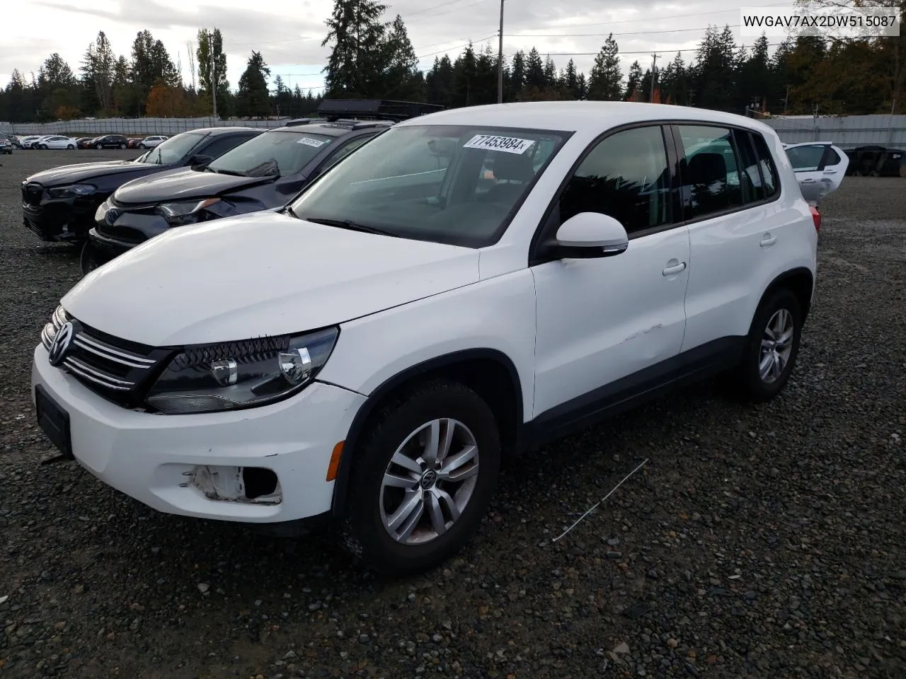 2013 Volkswagen Tiguan S VIN: WVGAV7AX2DW515087 Lot: 77453984