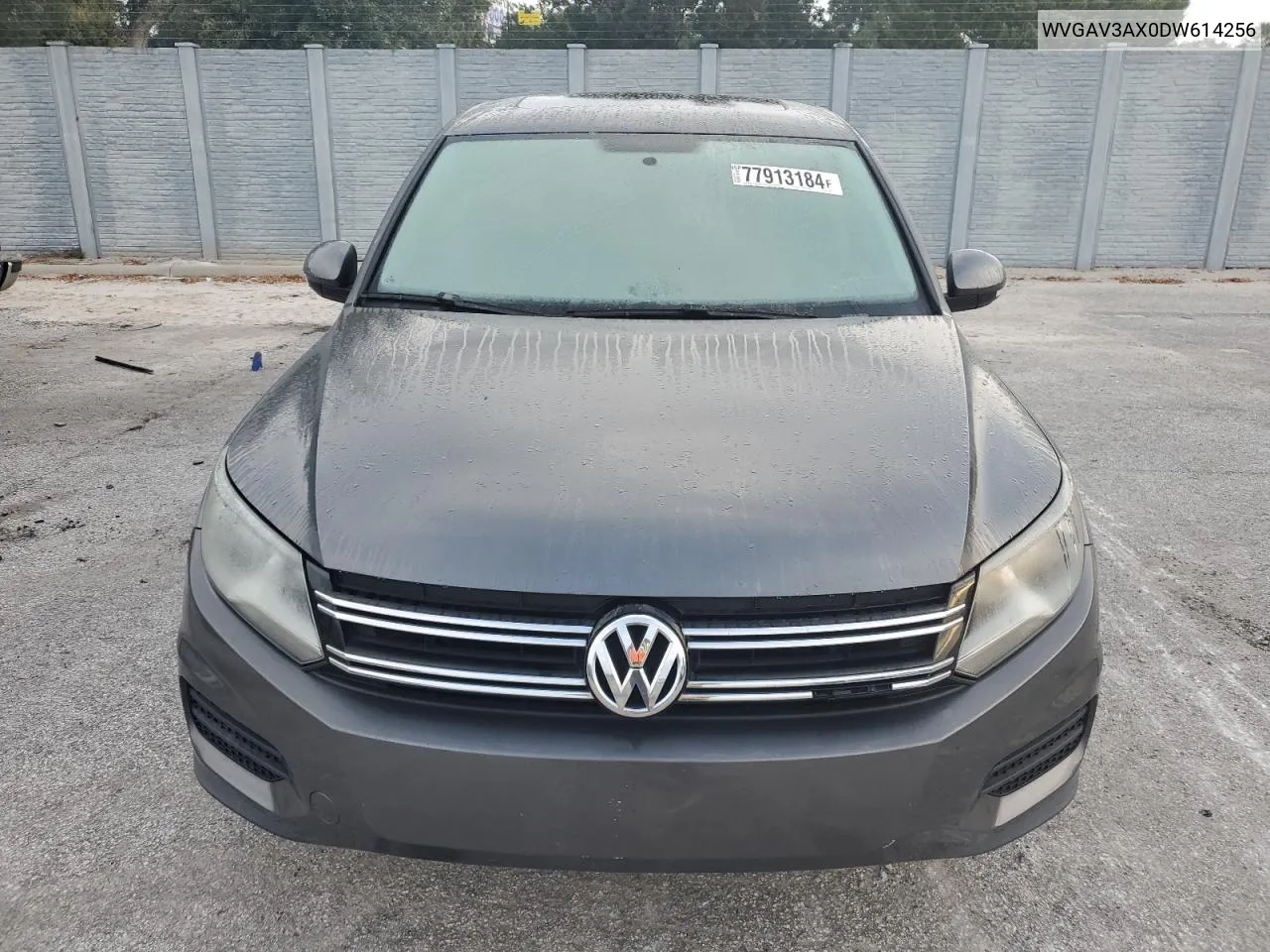 2013 Volkswagen Tiguan S VIN: WVGAV3AX0DW614256 Lot: 77913184