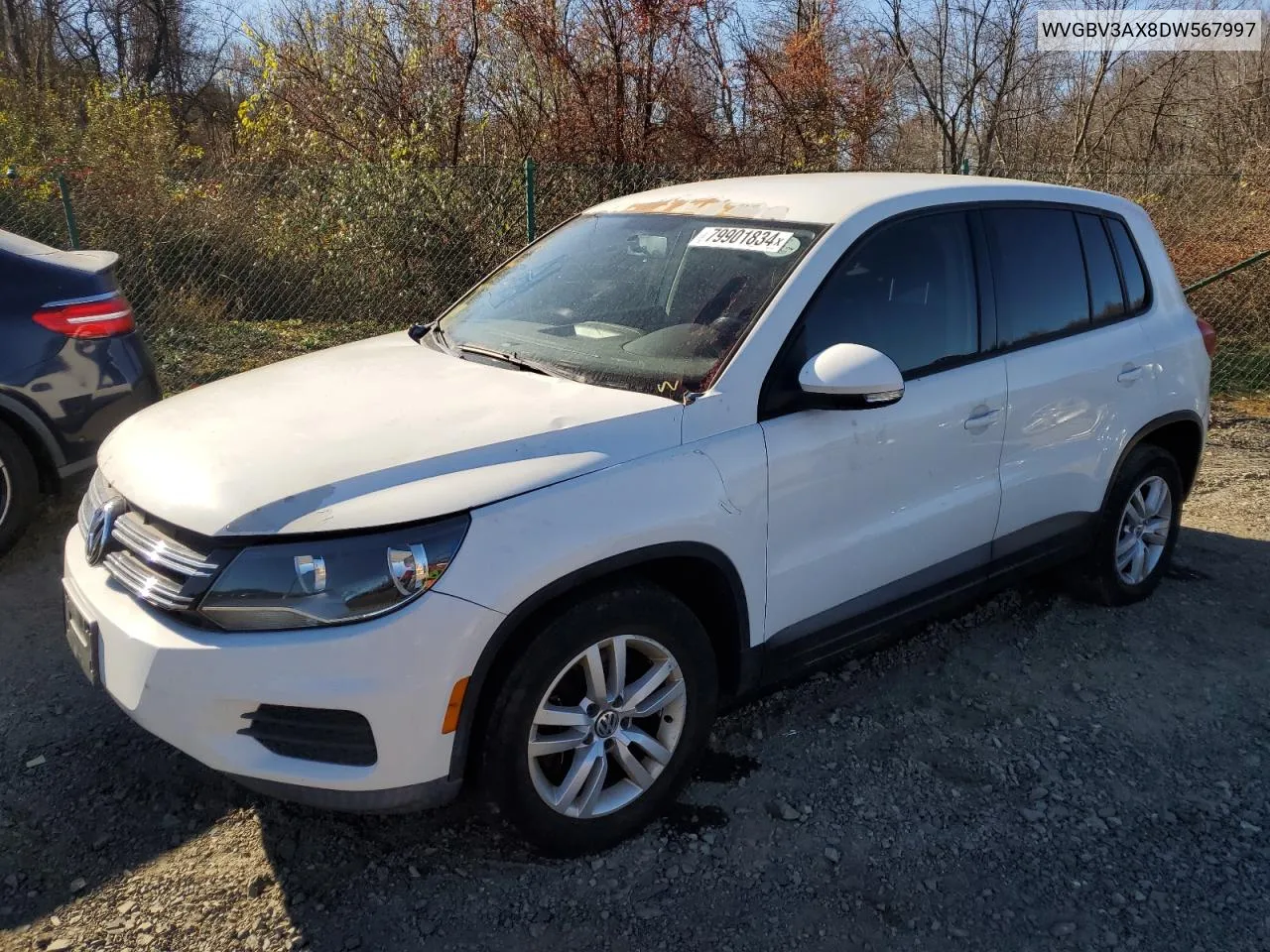 2013 Volkswagen Tiguan S VIN: WVGBV3AX8DW567997 Lot: 79901834