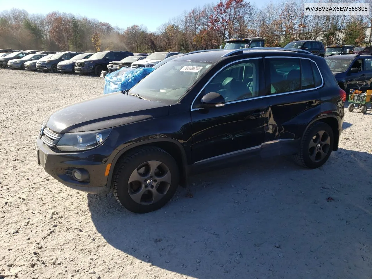 2014 Volkswagen Tiguan S VIN: WVGBV3AX6EW568308 Lot: 79668614