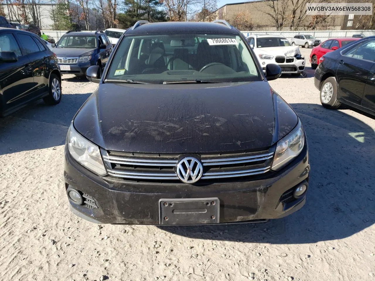 2014 Volkswagen Tiguan S VIN: WVGBV3AX6EW568308 Lot: 79668614