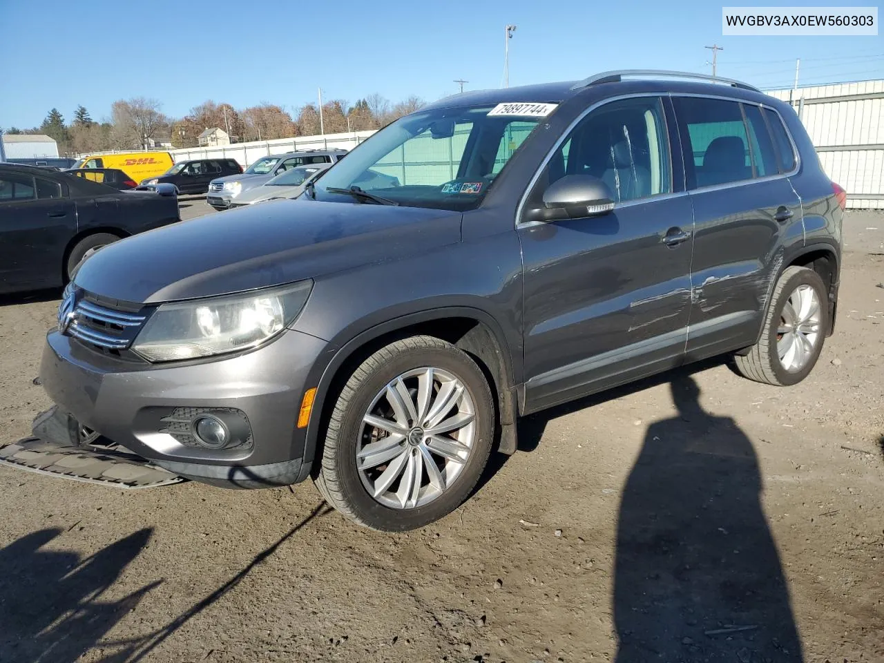 2014 Volkswagen Tiguan S VIN: WVGBV3AX0EW560303 Lot: 79897744