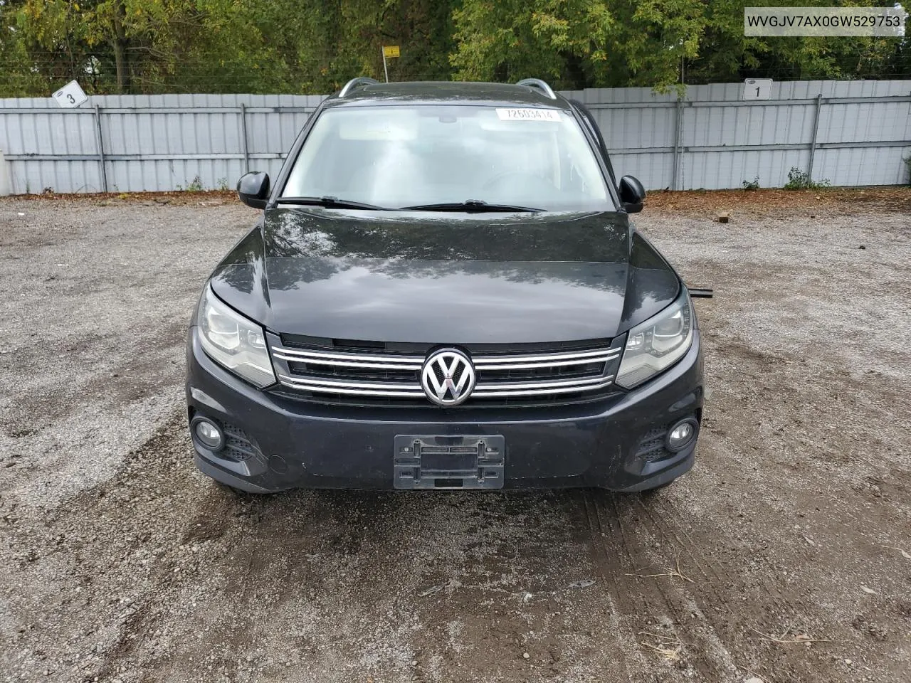 2016 Volkswagen Tiguan Comfortline VIN: WVGJV7AX0GW529753 Lot: 72603414