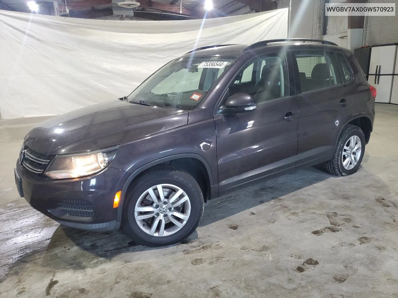 2016 Volkswagen Tiguan S VIN: WVGBV7AX0GW570923 Lot: 75356544