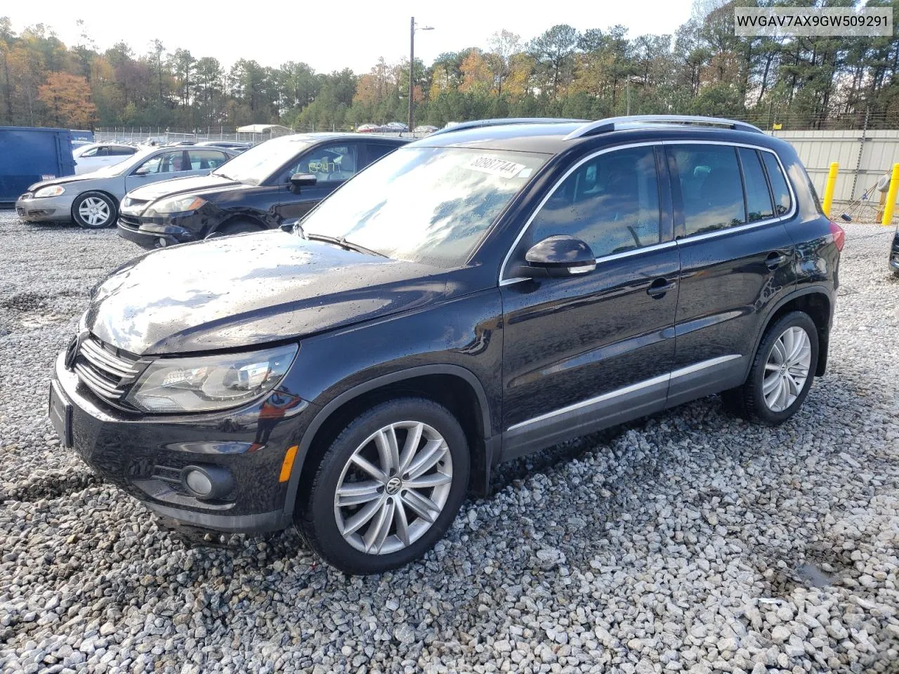 2016 Volkswagen Tiguan S VIN: WVGAV7AX9GW509291 Lot: 80987744