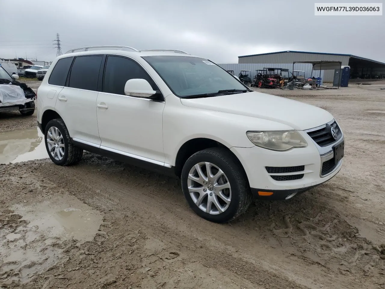 2009 Volkswagen Touareg 2 V6 Tdi VIN: WVGFM77L39D036063 Lot: 80261114