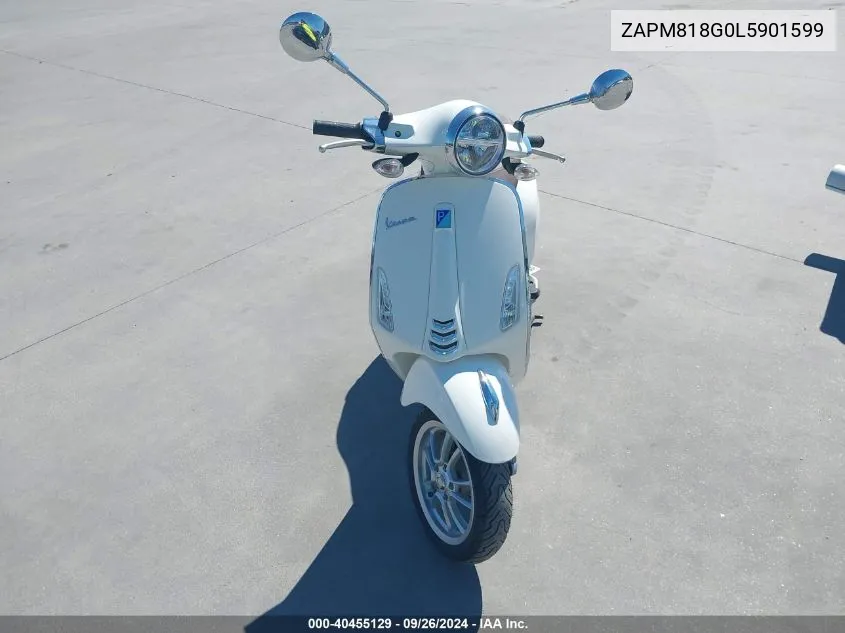 2020 Vespa Primavera VIN: ZAPM818G0L5901599 Lot: 40455129