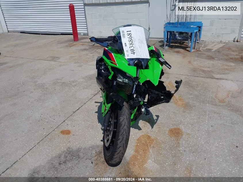 2024 Kawasaki Ex500 A/B VIN: ML5EXGJ13RDA13202 Lot: 40388681