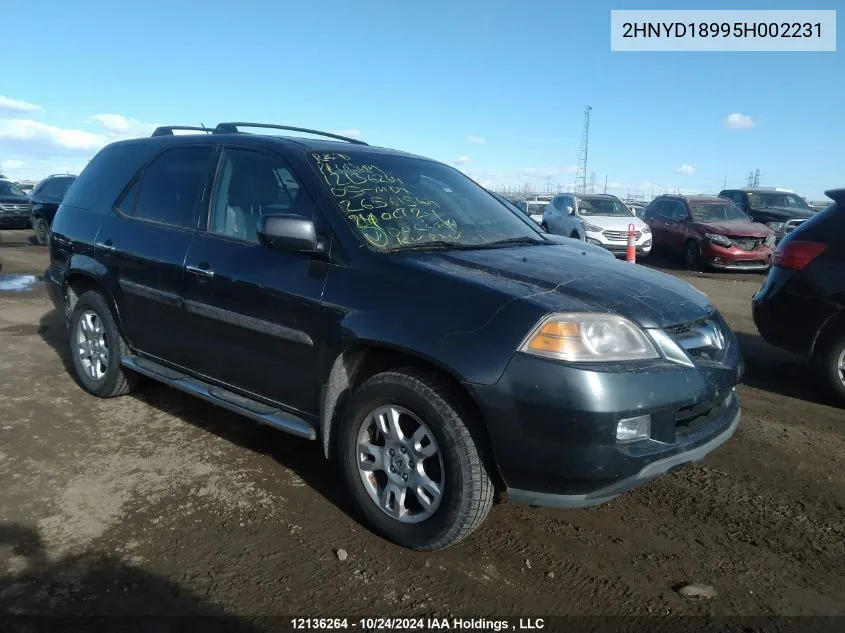 2005 Acura Mdx VIN: 2HNYD18995H002231 Lot: 12136264