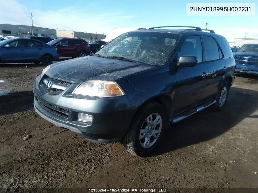 2005 Acura Mdx VIN: 2HNYD18995H002231 Lot: 12136264