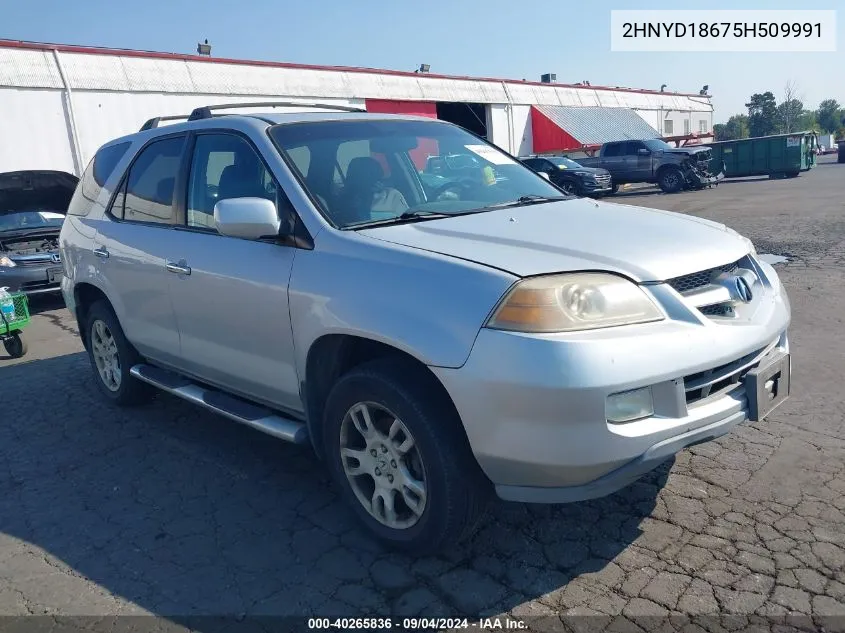 2005 Acura Mdx VIN: 2HNYD18675H509991 Lot: 40265836