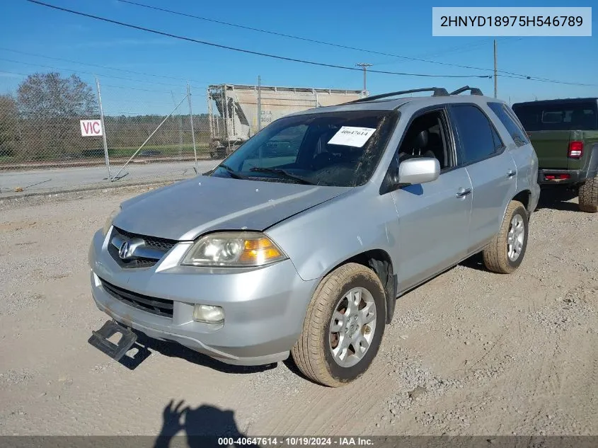 2005 Acura Mdx VIN: 2HNYD18975H546789 Lot: 40647614