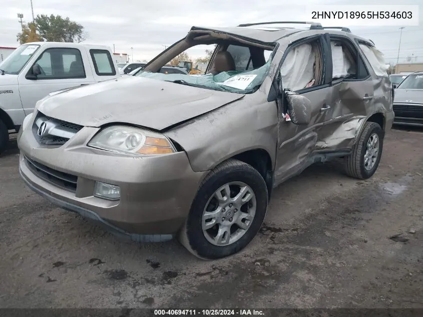 2005 Acura Mdx VIN: 2HNYD18965H534603 Lot: 40694711