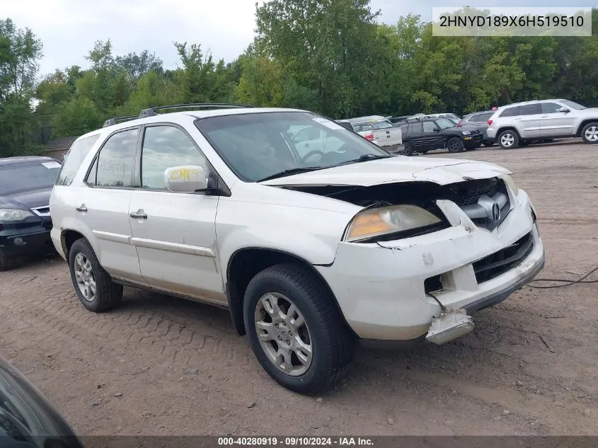 2006 Acura Mdx Touring VIN: 2HNYD189X6H519510 Lot: 40280919