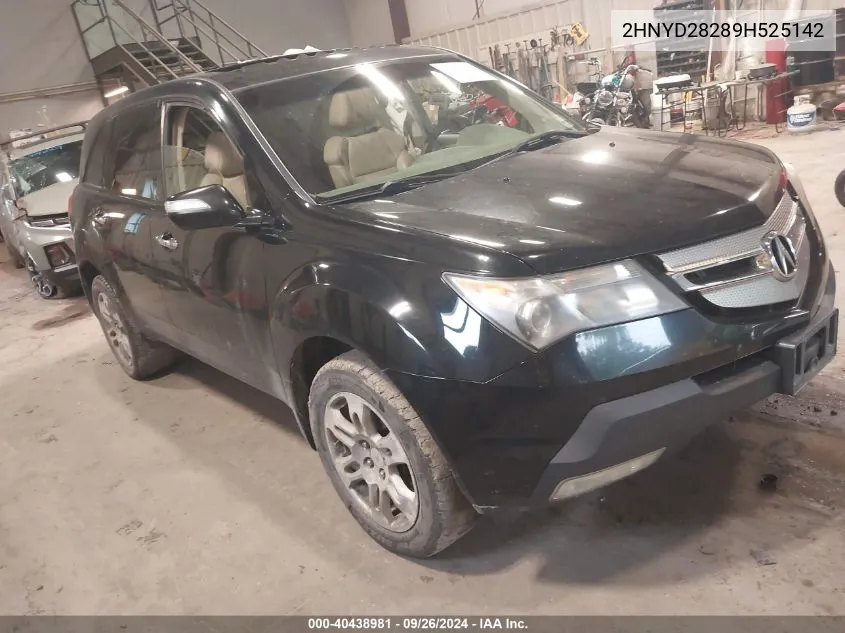 2009 Acura Mdx VIN: 2HNYD28289H525142 Lot: 40438981