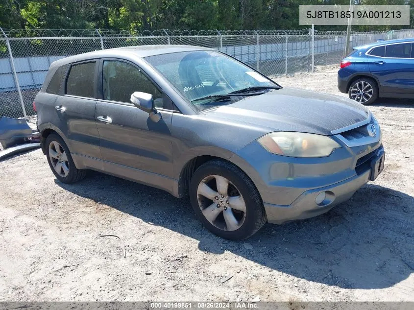 2009 Acura Rdx VIN: 5J8TB18519A001213 Lot: 40199851