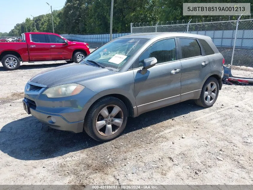 2009 Acura Rdx VIN: 5J8TB18519A001213 Lot: 40199851