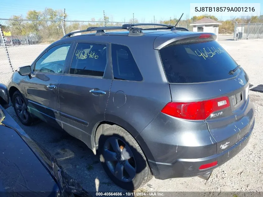 2009 Acura Rdx VIN: 5J8TB18579A001216 Lot: 40564686