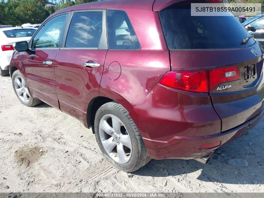 2009 Acura Rdx VIN: 5J8TB18559A005491 Lot: 40721832