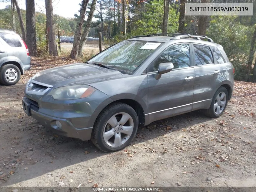 2009 Acura Rdx VIN: 5J8TB18559A003319 Lot: 40796027