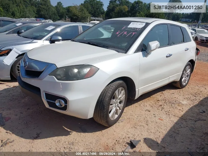 2010 Acura Rdx VIN: 5J8TB2H54AA001250 Lot: 40217495