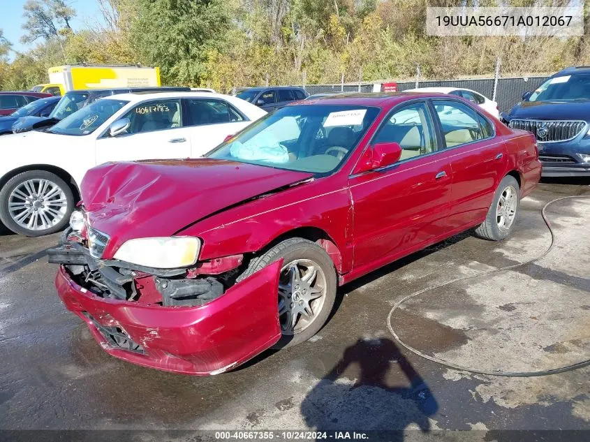 2001 Acura Tl 3.2 VIN: 19UUA56671A012067 Lot: 40667355