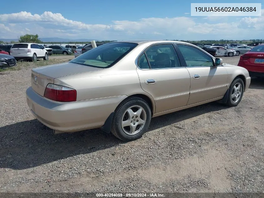 2002 Acura Tl 3.2 VIN: 19UUA56602A046384 Lot: 40294059