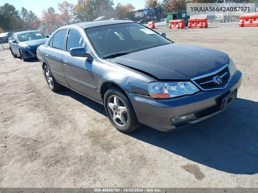 2002 Acura Tl 3.2 VIN: 19UUA56642A057971 Lot: 40666760