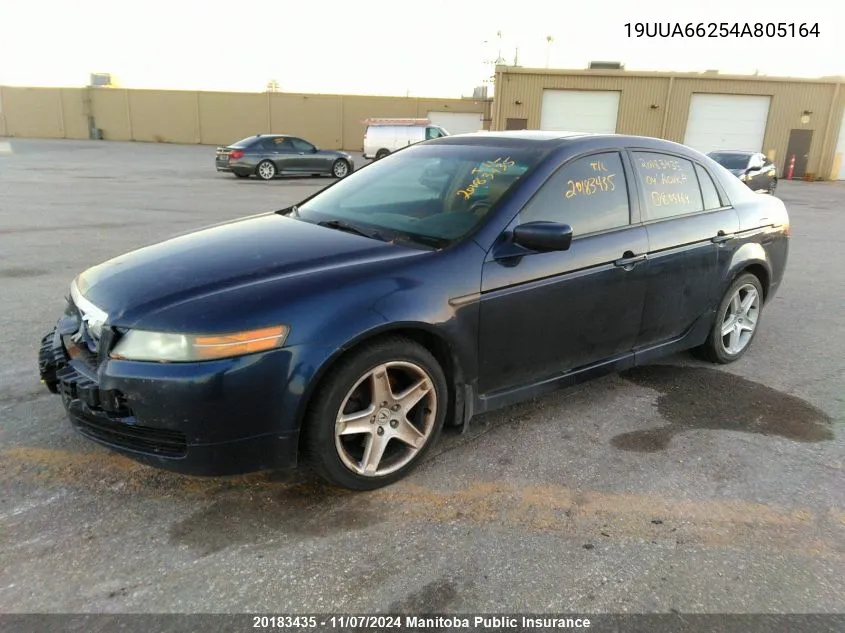 2004 Acura Tl VIN: 19UUA66254A805164 Lot: 20183435