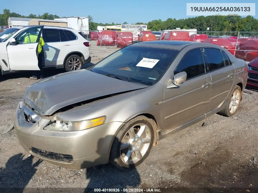 2004 Acura Tl VIN: 19UUA66254A036133 Lot: 40190926