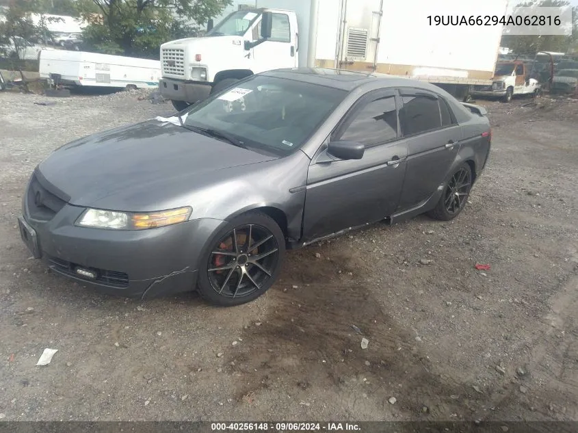 2004 Acura Tl VIN: 19UUA66294A062816 Lot: 40256148