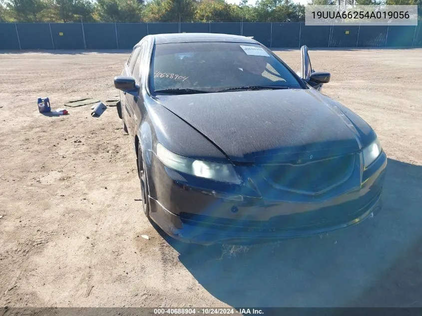 2004 Acura Tl VIN: 19UUA66254A019056 Lot: 40688904