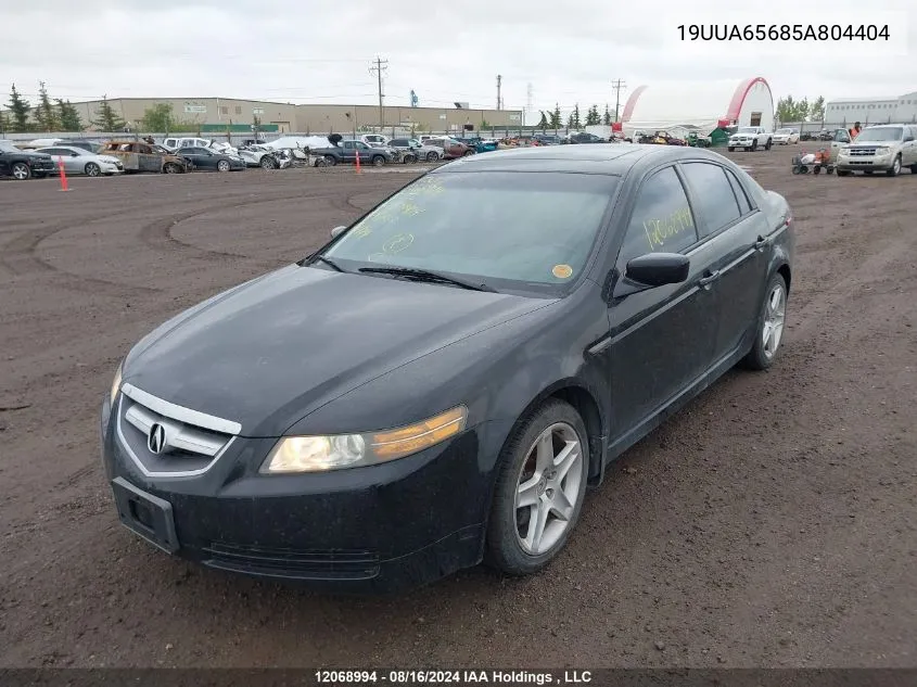 2005 Acura Tl VIN: 19UUA65685A804404 Lot: 12068994